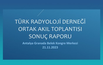 Ortak Akıl Toplantısı Raporu